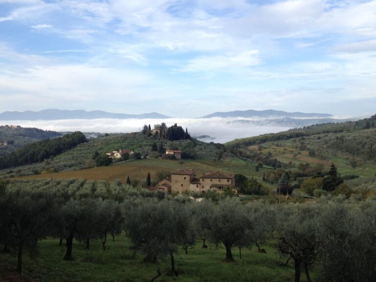 Colline con uliveti e casali in pietra, con la nebbia del mattino nelle valli sullo sfondo