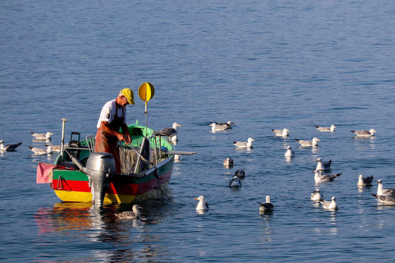 Pescatore al lavoro su una piccola barca colorata in mare calmo, circondato dai gabbiani